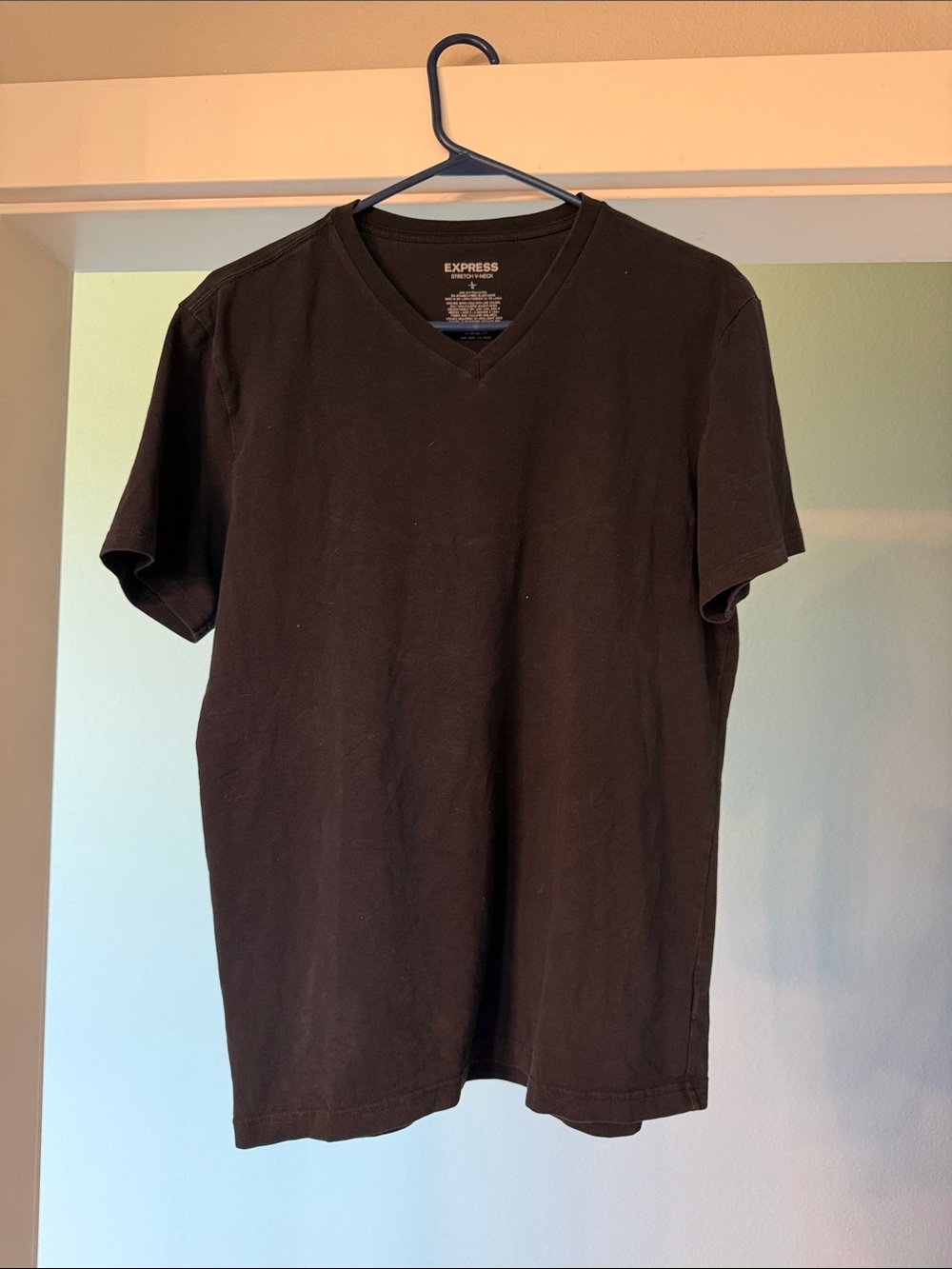 Express Men's V-Neck T-Shirt in Black